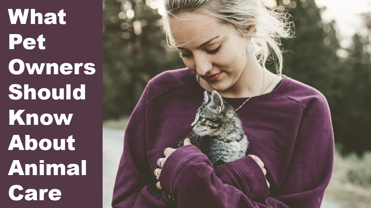 What Pet Owners Should Know About Animal Care